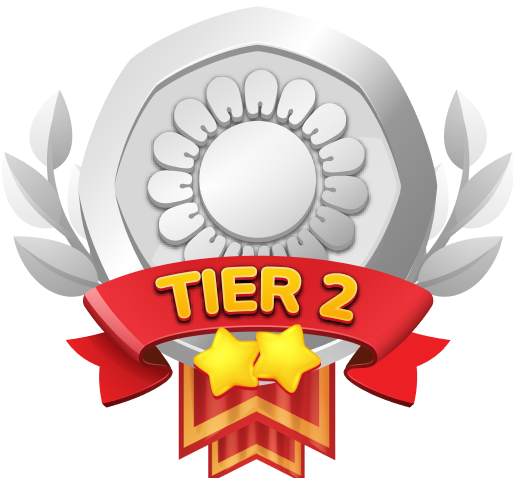 Silver Tier